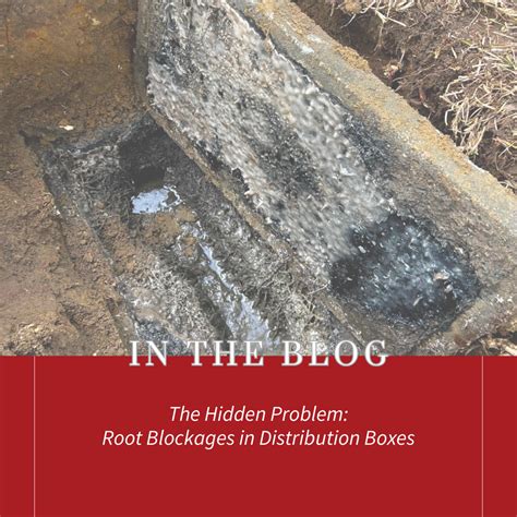 The Hidden Problem: Root Blockages i